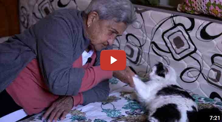 História de Vida | A Mudança de D. Guilhermina para São Paulo aos 82 anos